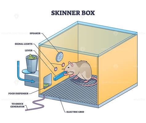 skinner box electric shock|skinner box conditioning chamber.